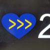 3 <<< 21 - DS Decal - Image 2