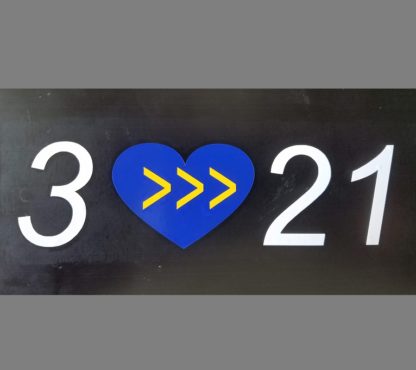 3 <<< 21 - DS Decal