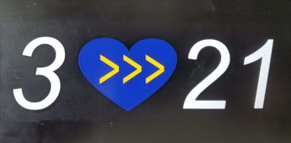 3 <<< 21 - DS Decal - Image 2